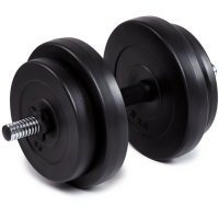 Гантель наборная Fit-On Chrome 1x17кг