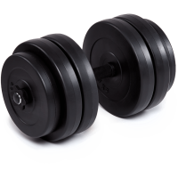 Гантель наборная Fit-On Chrome 1x26кг